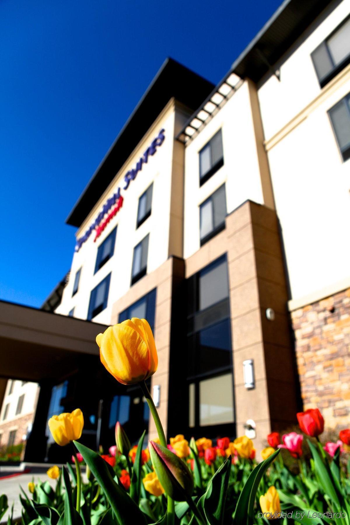 Springhill Suites By Marriott Logan Ngoại thất bức ảnh